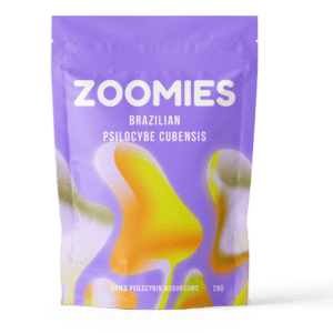 Brazilian | Magic Mushrooms Quebec Canada