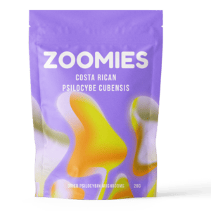 Costa Rican | Magic Mushrooms Quebec Canada