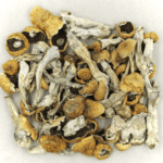 Orissa | Magic Mushrooms Quebec Canada