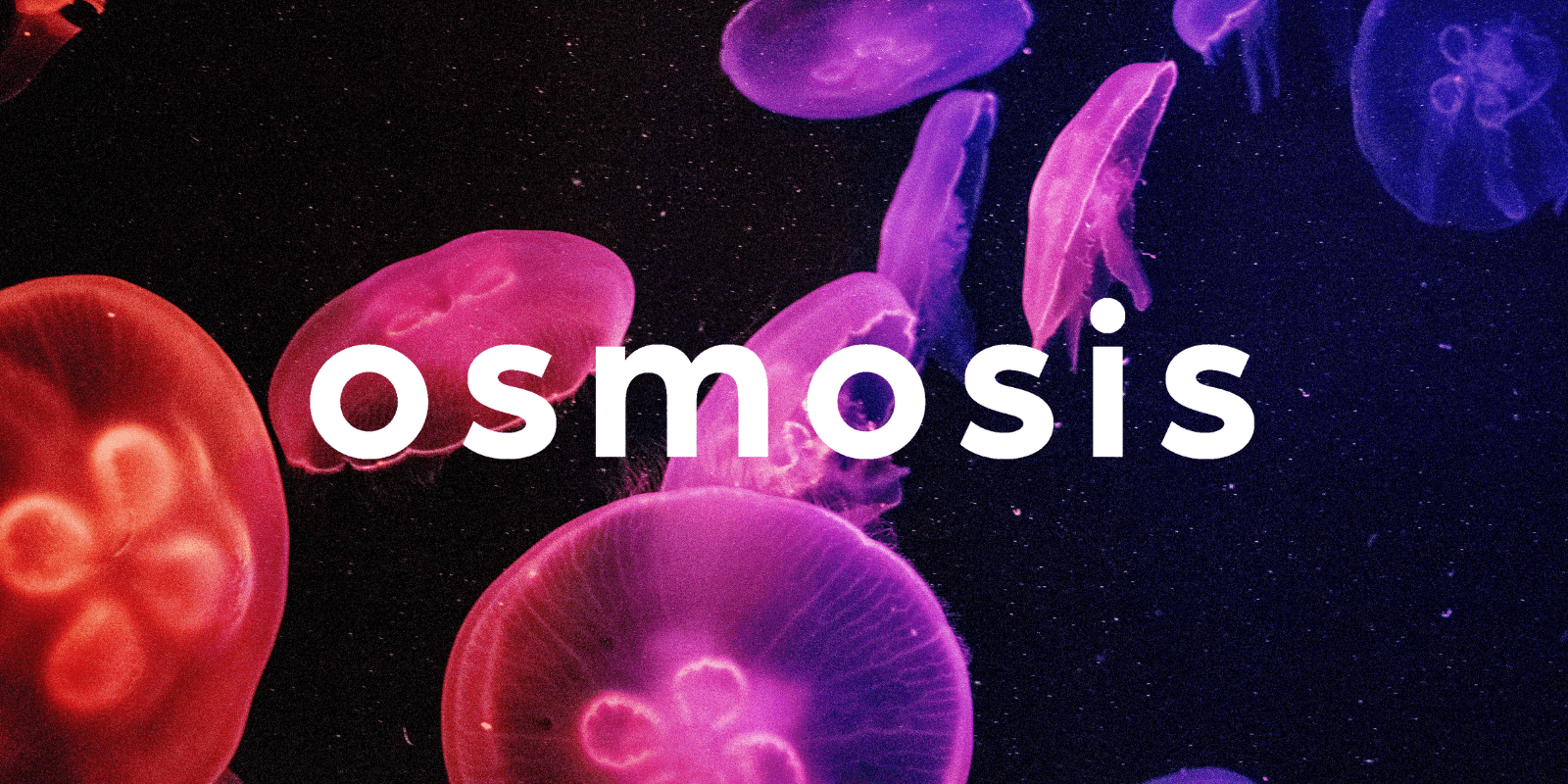 Zoomies osmosis banner | Magic Mushrooms Quebec Canada