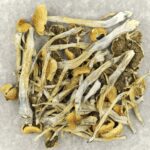Trinity | Magic Mushrooms Quebec Canada