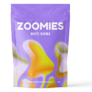 White Burma | Magic Mushrooms Quebec Canada