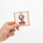 Wonder – Psilocybin Chocolate Bar – Blood Orange | Magic Mushrooms Quebec Canada