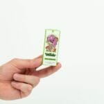 Wonder – Psilocybin Chocolate Bar – Dark Chocolate | Magic Mushrooms Quebec Canada