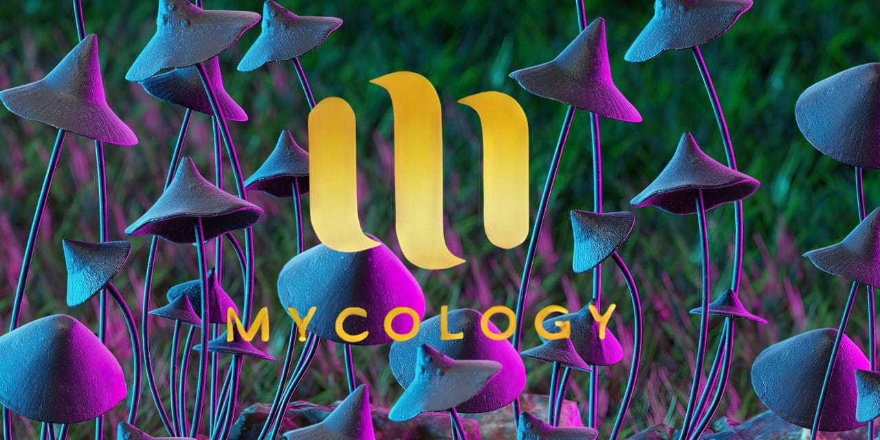 Zoomies Summer 2023 Banner - Mycology | Magic Mushrooms Quebec Canada