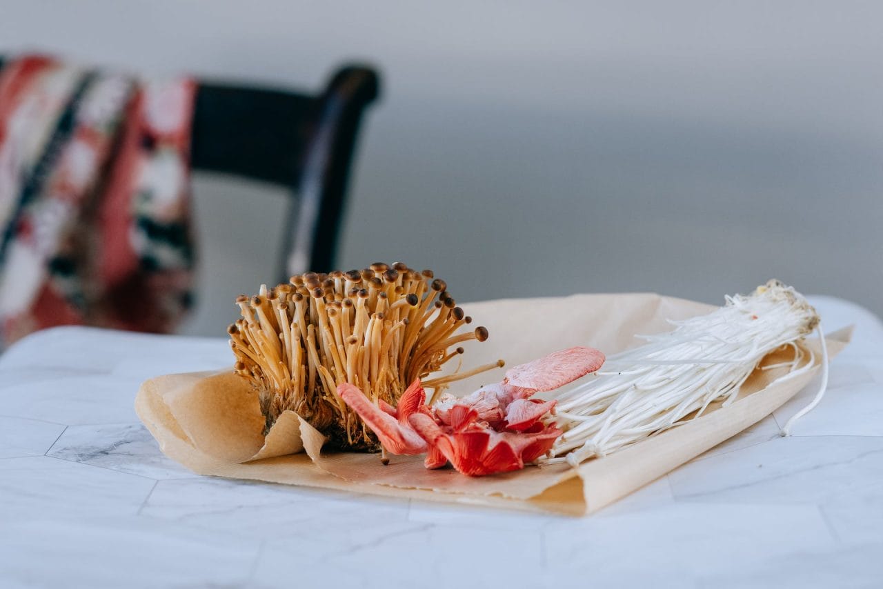 Purchase Mushrooms Online in Canada for Your Christmas Mushroom Recipes
