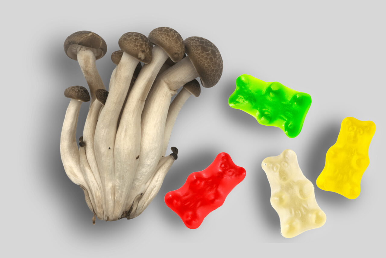 Top LSD edibles in Canada Food and beverages infused with LSD